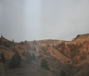 Thanksgiving 2008 141